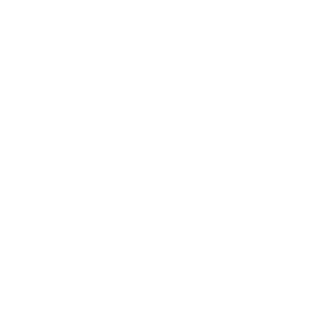 Bruno Male Enhancement brand logo